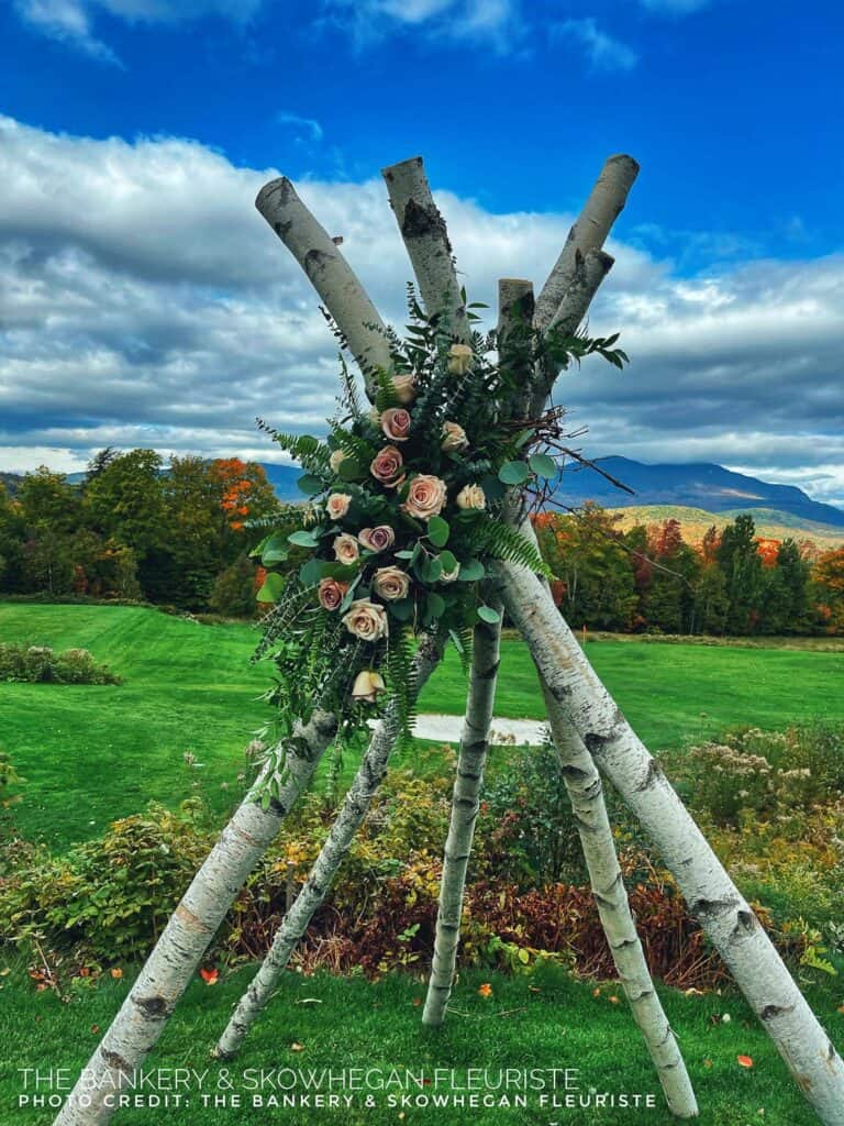 A birch branch arch adorned with pink roses and green foliage stands in a grassy field with mountains and cloudy sky in the background.