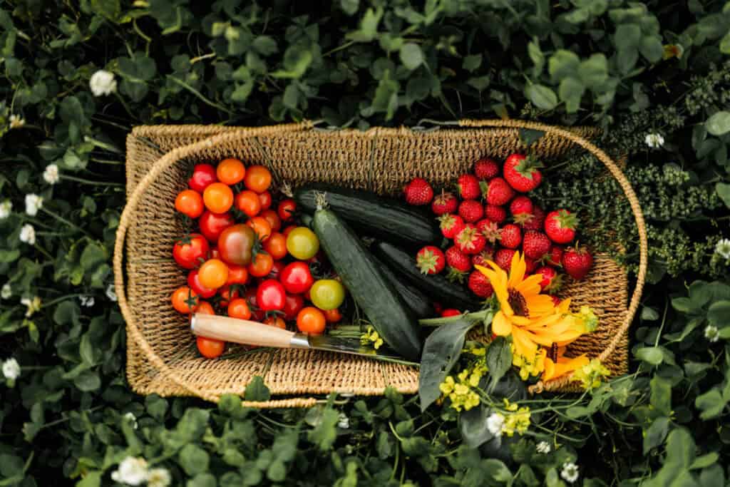 MAINE WEDDING PROVISIONS // Branding Photography