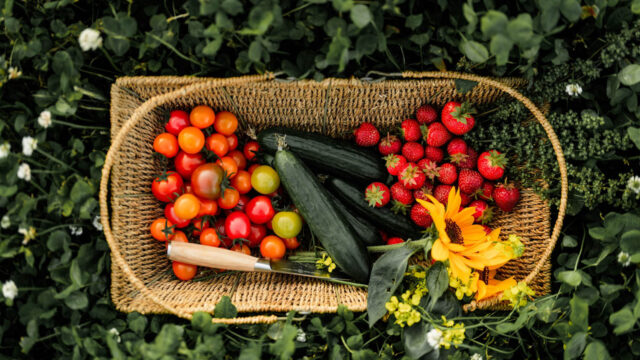 MAINE WEDDING PROVISIONS // Branding Photography