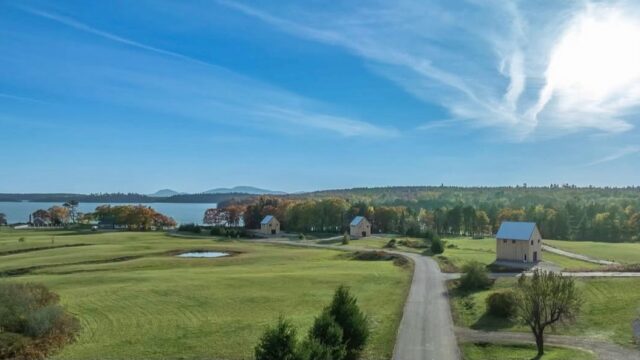 Silver-Oak
